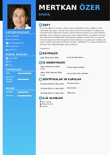 Dalgıç CV Örnekleri cv indir